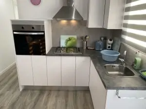 154LP Alhambra Park Home | Image of the kitchen area